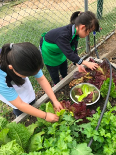 /uploaded_files/media/gallery/1726818865GARDEN 1.png